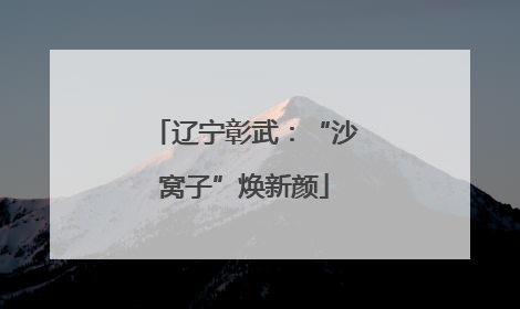 辽宁彰武：“沙窝子”焕新颜