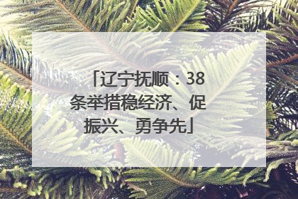 辽宁抚顺：38条举措稳经济、促振兴、勇争先