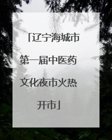 辽宁海城市第一届中医药文化夜市火热开市