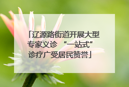 辽源路街道开展大型专家义诊 “一站式”诊疗广受居民赞誉