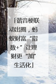 谐音梗联动出圈，蚂蚁财富“指数+”让理财更“加”生活化