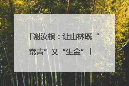 谢汝根：让山林既“常青”又“生金”