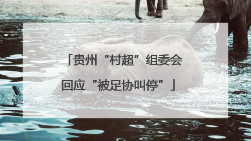 贵州“村超”组委会回应“被足协叫停”