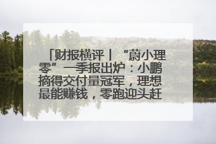 财报横评丨“蔚小理零”一季报出炉：小鹏摘得交付量冠军，理想最能赚钱，零跑迎头赶上，蔚来还在调整