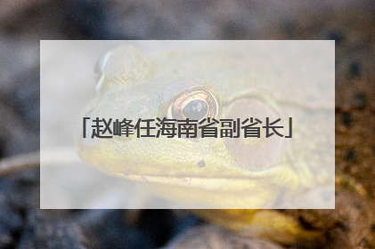 赵峰任海南省副省长