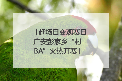 赶场日变观赛日 广安彭家乡“村BA”火热开赛