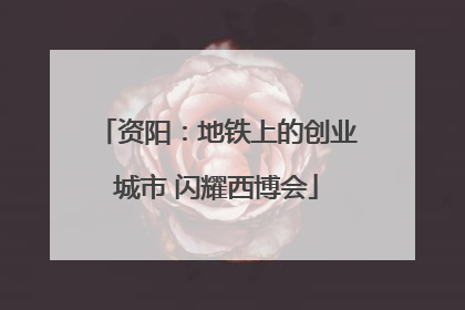 资阳：地铁上的创业城市 闪耀西博会