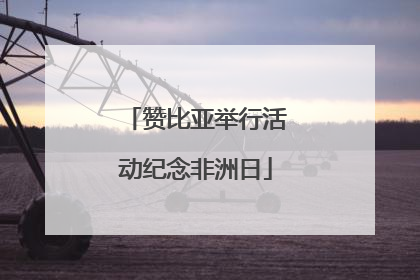 赞比亚举行活动纪念非洲日