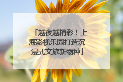 越夜越精彩！上海影视乐园打造沉浸式文旅新物种