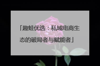 趣蛙优选：私域电商生态的破局者与赋能者
