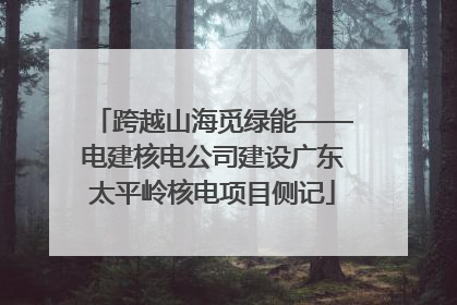 跨越山海觅绿能——电建核电公司建设广东太平岭核电项目侧记