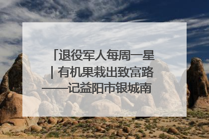 退役军人每周一星｜有机果栽出致富路——记益阳市银城南湖蔬果农民专业合作社总经理晏桂明
