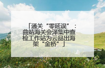 通关“零延误”：曲靖海关会泽集中查检工作站为云品出海架“金桥”