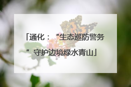通化：“生态巡防警务”守护边境绿水青山