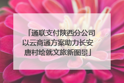 通联支付陕西分公司以云商通方案助力长安唐村绘就文旅新图景