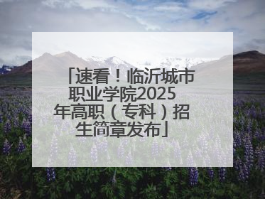 速看！临沂城市职业学院2025年高职（专科）招生简章发布