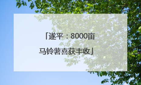 遂平：8000亩马铃薯喜获丰收