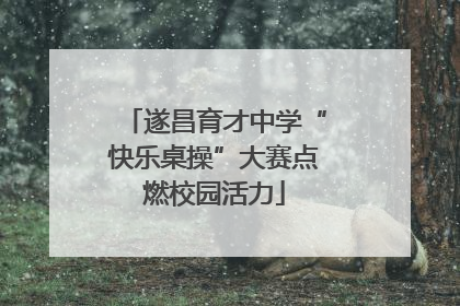 遂昌育才中学“快乐桌操”大赛点燃校园活力