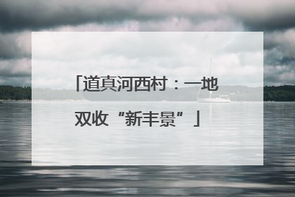 道真河西村：一地双收“新丰景”