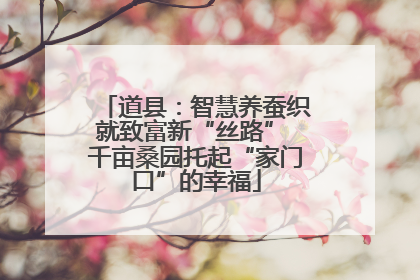 道县：智慧养蚕织就致富新“丝路” 千亩桑园托起“家门口”的幸福