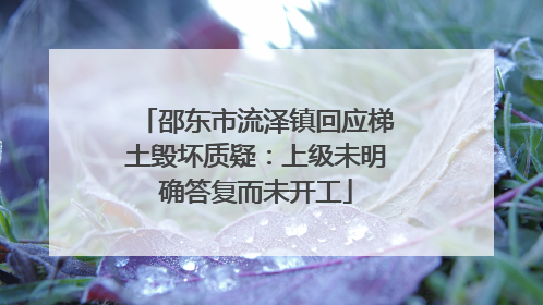 邵东市流泽镇回应梯土毁坏质疑：上级未明确答复而未开工