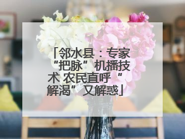 邻水县：专家“把脉”机播技术 农民直呼“解渴”又解惑
