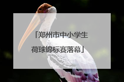 郑州市中小学生荷球锦标赛落幕