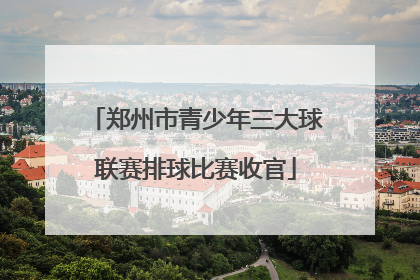 郑州市青少年三大球联赛排球比赛收官