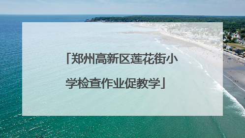 郑州高新区莲花街小学检查作业促教学