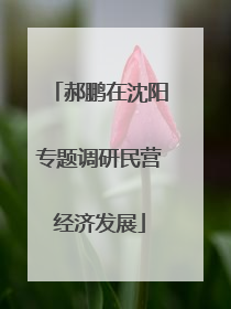 郝鹏在沈阳专题调研民营经济发展