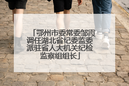 鄂州市委常委邹霞调任湖北省纪委监委派驻省人大机关纪检监察组组长