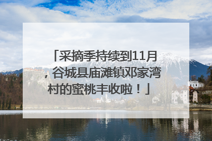 采摘季持续到11月，谷城县庙滩镇邓家湾村的蜜桃丰收啦！
