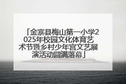 金寨县梅山第一小学2025年校园文化体育艺术节暨乡村少年宫文艺展演活动圆满落幕