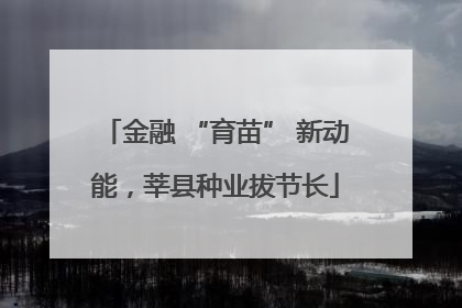金融 “育苗” 新动能，莘县种业拔节长