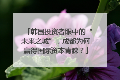 韩国投资者眼中的“未来之城”，成都为何赢得国际资本青睐？