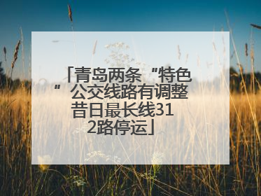 青岛两条“特色”公交线路有调整 昔日最长线312路停运