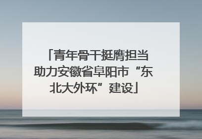 青年骨干挺膺担当 助力安徽省阜阳市“东北大外环”建设