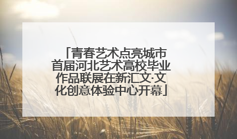 青春艺术点亮城市 首届河北艺术高校毕业作品联展在新汇文·文化创意体验中心开幕