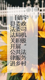 靖宇县委政法委司法局机关积极开展“公共法律服务进乡村”主题活动