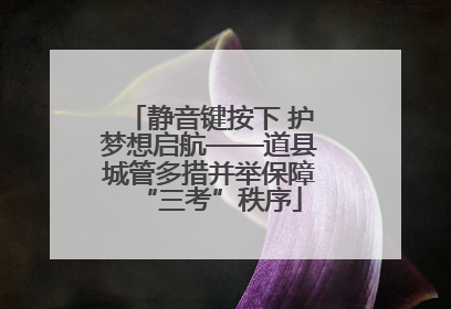 静音键按下 护梦想启航——道县城管多措并举保障“三考”秩序