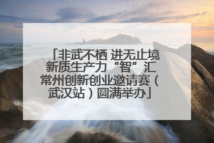 非武不栖 进无止境 新质生产力“智”汇常州创新创业邀请赛（武汉站）圆满举办