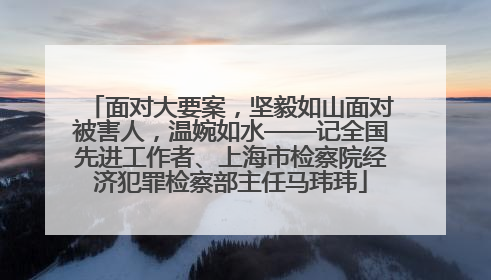 面对大要案，坚毅如山面对被害人，温婉如水——记全国先进工作者、上海市检察院经济犯罪检察部主任马玮玮