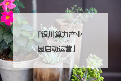 银川算力产业园启动运营