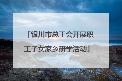 银川市总工会开展职工子女家乡研学活动