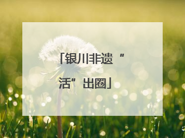 银川非遗“活”出圈