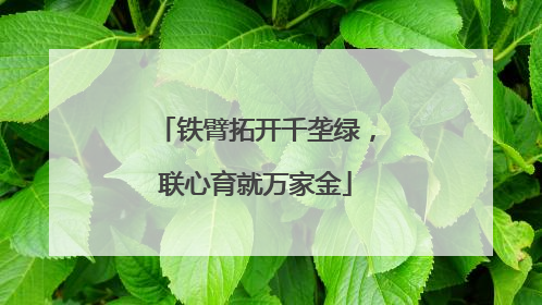 铁臂拓开千垄绿，联心育就万家金