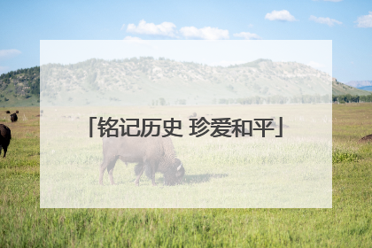 铭记历史 珍爱和平