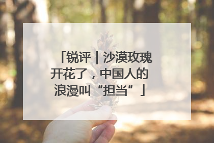 锐评｜沙漠玫瑰开花了，中国人的浪漫叫“担当”
