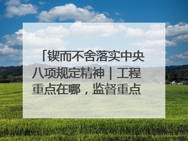 锲而不舍落实中央八项规定精神｜工程重点在哪，监督重点就在哪——广西深化政治监督护航平陆运河建设