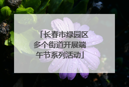 长春市绿园区多个街道开展端午节系列活动